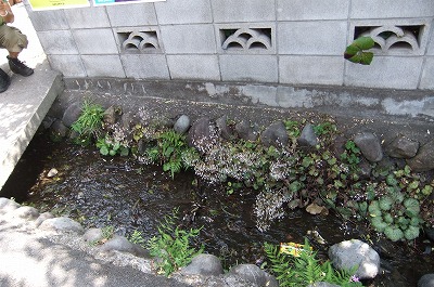 DSCF6723.jpg