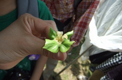DSCF6791.jpg