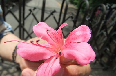 DSCF6822.jpg