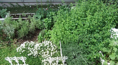 DSCF6915.jpg