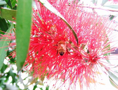 DSCF6943b.jpg
