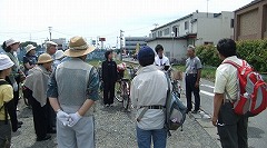 DSCF7295.jpg