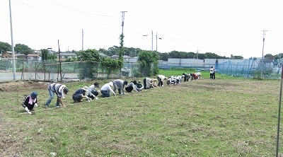 DSCF7305.jpg