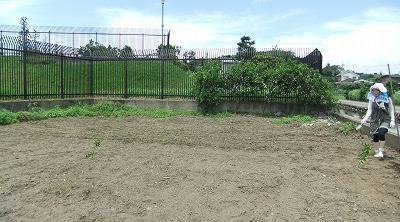 DSCF7324.jpg