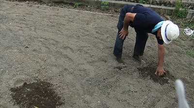 DSCF7330.jpg