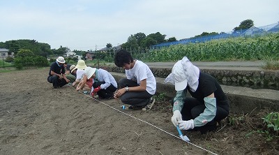 DSCF7333.jpg