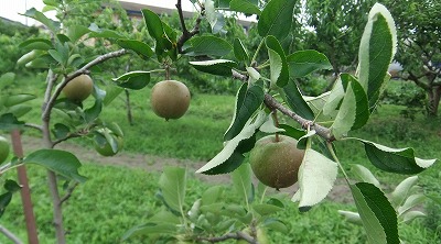 DSCF7342.jpg