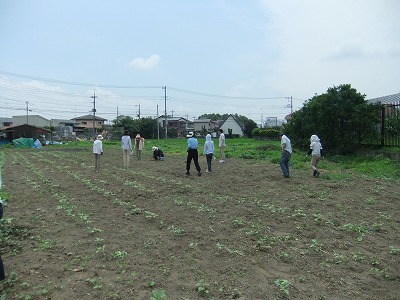 DSCF7431.jpg