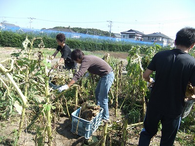 DSCF8173.jpg