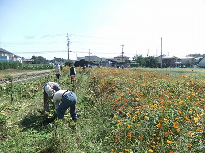 DSCF8183.jpg