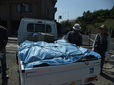 DSCF8229.jpg