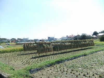 DSCF8240.jpg