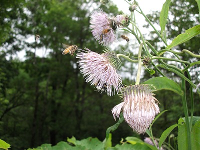 DSCF8592.jpg