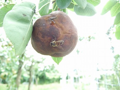 DSCF8691.jpg