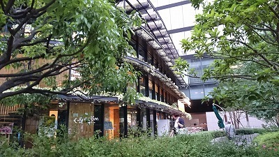 DSC_0540.jpg
