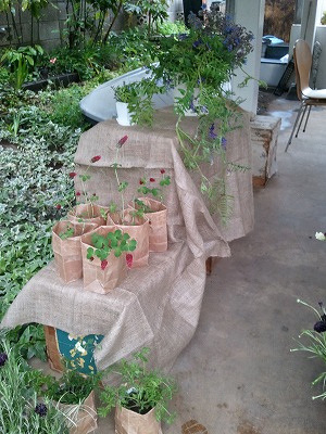 20110507 115.jpg