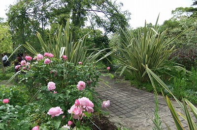 ˃K[f 142.jpg