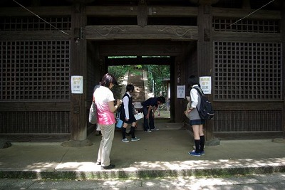 IMGP9598.jpg