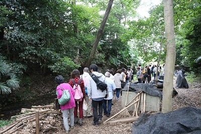 IMG_1831.jpg