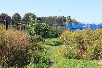 IMG_2486.jpg