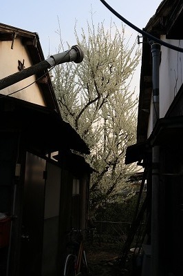 IMG_3860.jpg