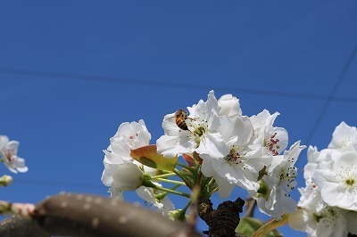 IMG_4695.jpg