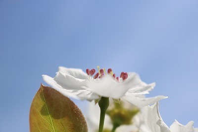 IMG_4888.jpg