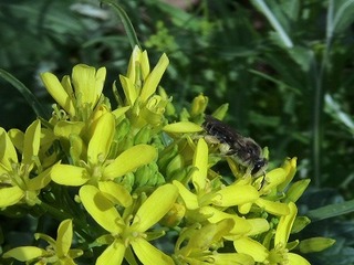 IMG_5322.jpg
