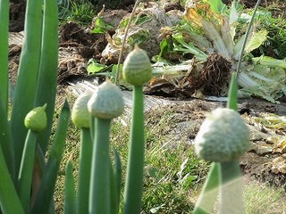 IMG_5395.jpg