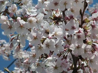 IMG_5418.jpg