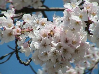 IMG_5440.jpg