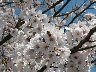 IMG_5451.jpg