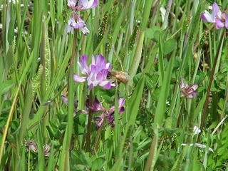IMG_5616.jpg
