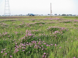 IMG_5638.jpg