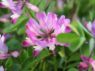 IMG_5642.jpg