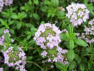 IMG_5789.jpg