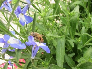 IMG_6169.jpg