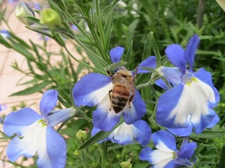 IMG_6173.jpg