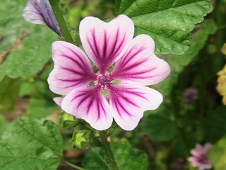 IMG_6978.jpg