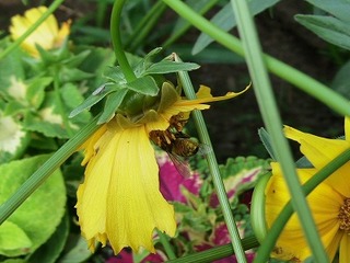 IMG_6983.jpg
