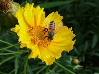IMG_6989.jpg