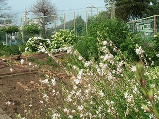 IMG_7000.jpg