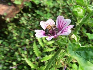 IMG_7011.jpg