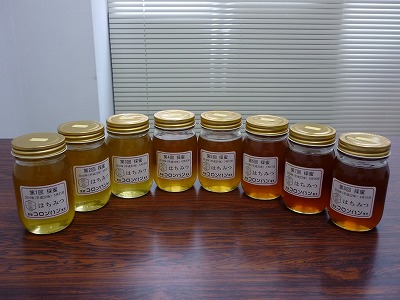 P1010646.jpg