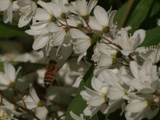 P5010541_s.jpg