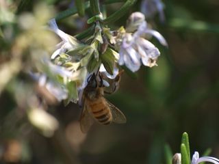 P5010552_s.jpg