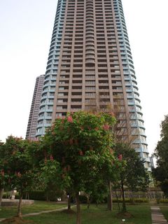 P5040628_s.jpg