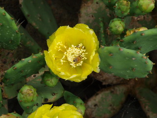 P7111622.JPG