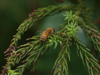 P7121747.JPG