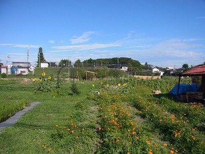 RIMG0001.jpg